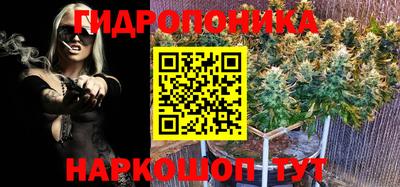 трава Гай