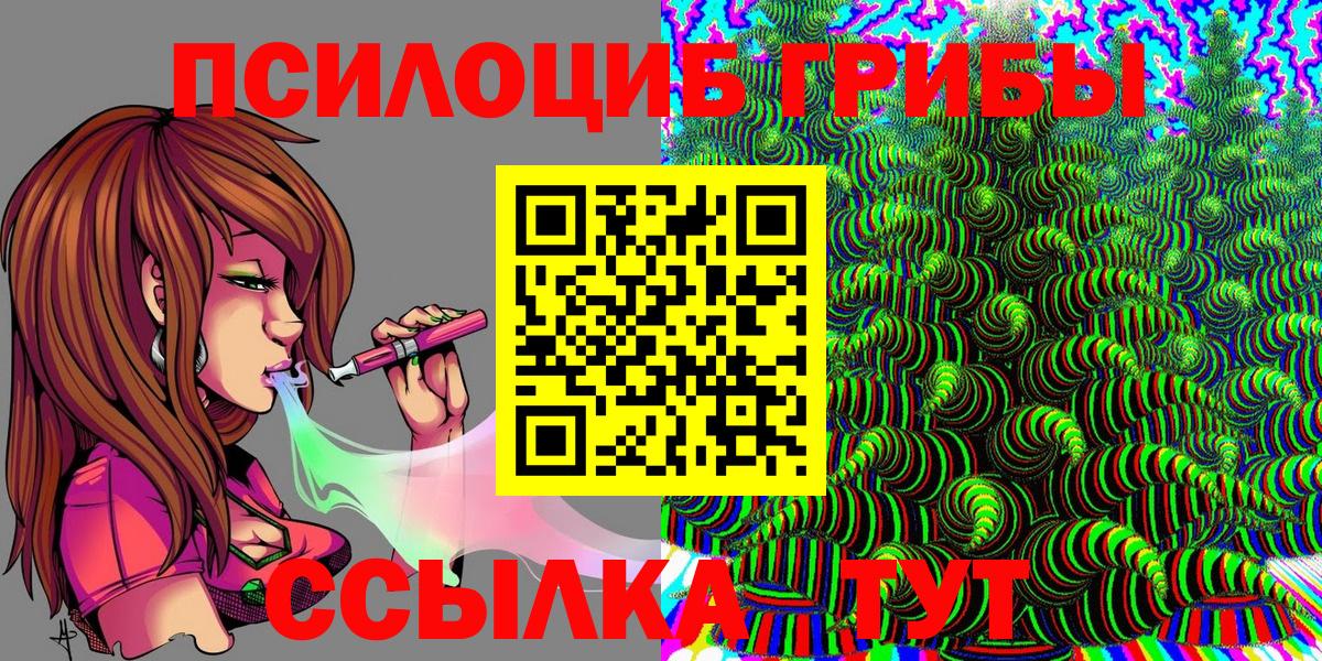 сколько стоит  Псилоцибиновые грибы GOLDEN TEACHER  Вход с VPN  Мичуринск 